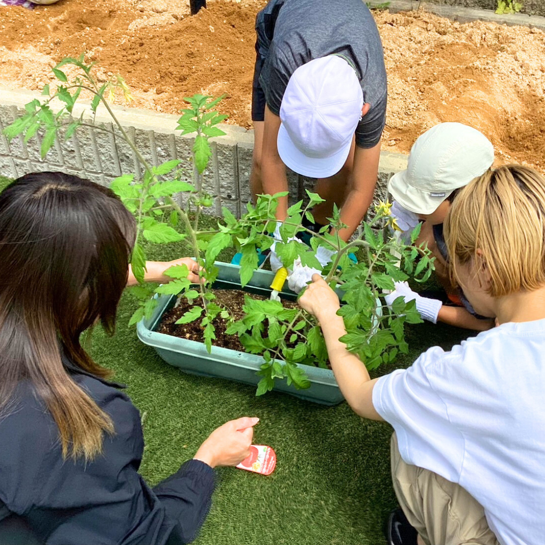 【まなびクラブ】保護者会～まなび菜園～夏野菜の苗植え体験！ 画像